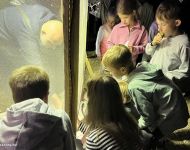 Bogarászás és lepkeles 2026 | 2026. május 29.  péntek