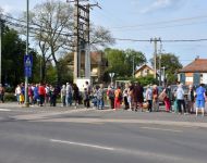 Egynyári virágosztás 2025 | 2025. április 30.  szerda | Fotó: Garai Szakács László, szeged.hu