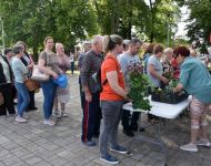 Egynyári virágosztás 2025 | 2025. április 30.  szerda | Fotó: Garai Szakács László, szeged.hu