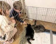 Húsvéti készülődés 2026 | 2026. március 27.  péntek