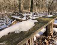 Sipos Erdei Iskola tanösvény - Olvadás | 2026. január 18.  vasárnap