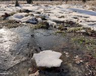 Sipos Erdei Iskola tanösvény - Olvadás | 2026. január 18.  vasárnap