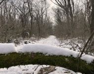 Sipos Erdei Iskola tanösvény - Olvadás | 2026. január 18.  vasárnap