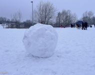 Szánkó-parti | 2026. január 10.  szombat