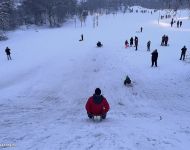 Szánkó-parti | 2026. január 10.  szombat