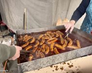 Szőregi Kolbászmesterek Versenye 2026 | 2026. január 31.  szombat