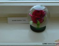 Szőregi Rózsaünnep 2003 | 2003. június 21.  szombat