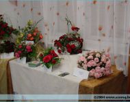 Szőregi Rózsaünnep 2004 | 2004. június 18.  péntek