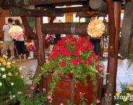 Szőregi Rózsaünnep 2011 | 2011. június 24.  péntek