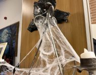 Tök Csütörtök 2025 | 2025. október 30.  csütörtök