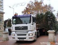 Felállították a város karácsonyfáját | 2012. november 23.  péntek | Fotó: Gémes Sándor / a szegedma.hu engedélyével