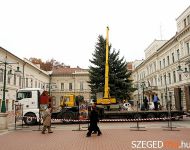 Felállították a város karácsonyfáját | 2012. november 22.  csütörtök | Fotó: Gémes Sándor / a szegedma.hu engedélyével