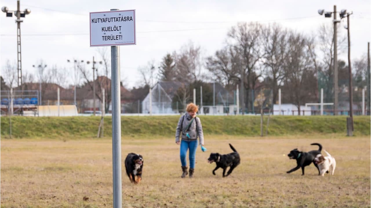 Örülnek a szőregi ebek: Szeged egyik legnagyobb kutyafuttatóját jelölték ki számukra