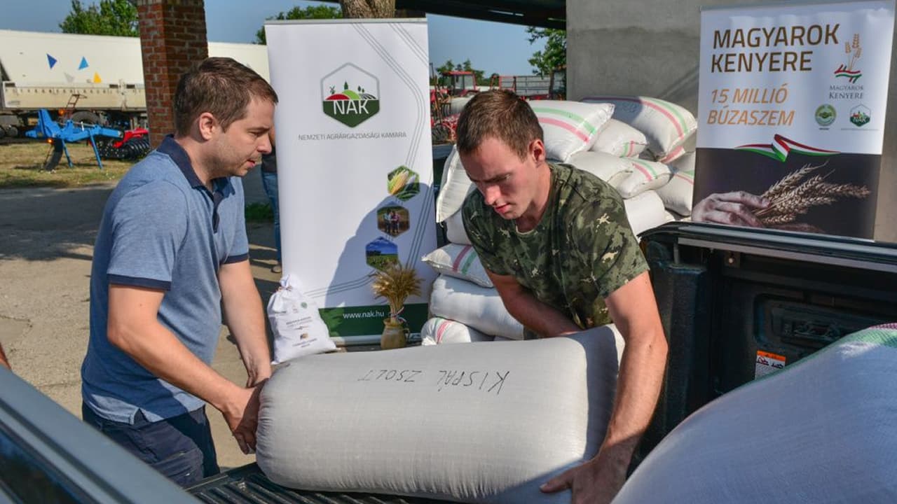 Százezer rászorulónak segítettek gabonával a magyar gazdák