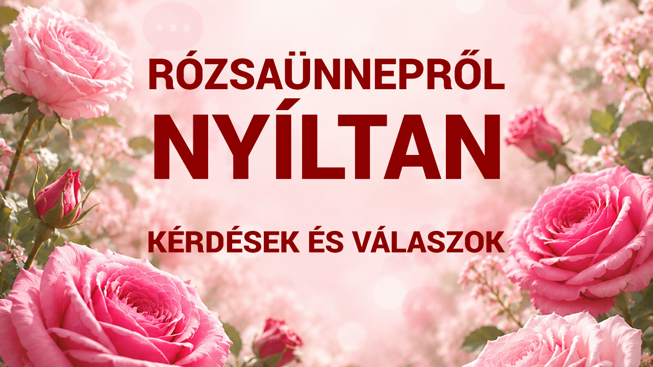 Rózsaünnepről nyíltan: kérdések és válaszok